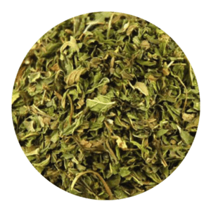Organic Mentha Arvensis Leaf Dry
