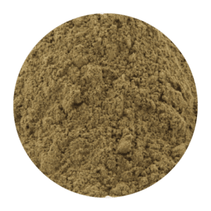 Organic Spearmint Powder (Mentha spicata)