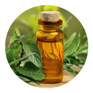 Organic Field Mint/Shivalik Oil (Mentha Arvensis)