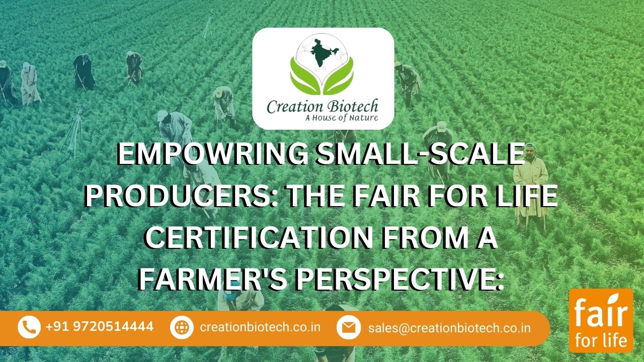 Empowring Small-Scale Producers: The Fair for Life Certification from a Farmer’s Perspective: