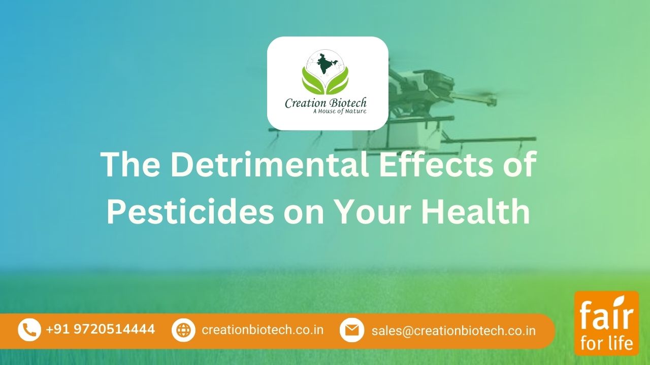 The Detrimental Effects of Pesticides on Your Health