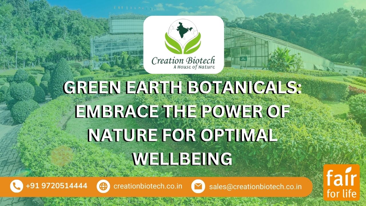 Green Earth Botanicals: Embrace the Power of Nature for Optimal Wellbeing