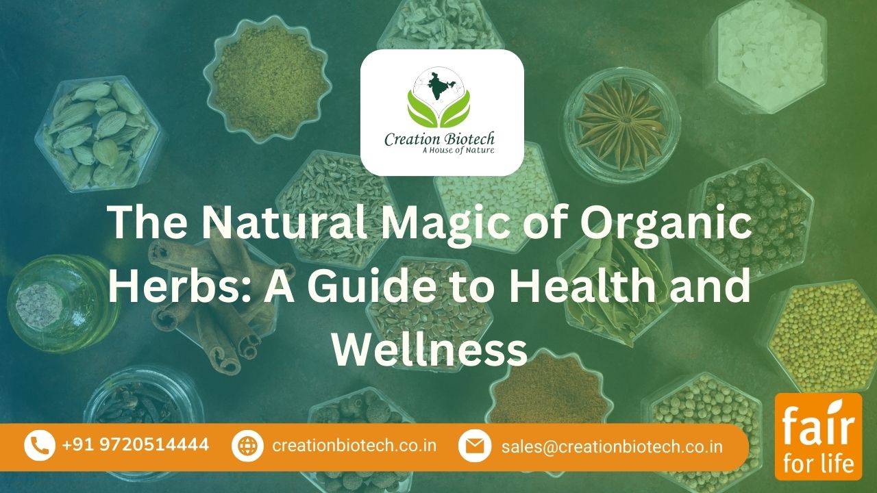 The Natural Magic of Organic Herbs: A Guide to Health and Wellness