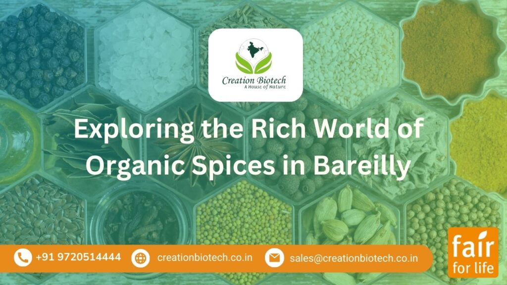 organic spices in bareilly