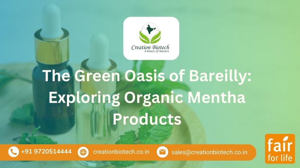 organic Mentha products