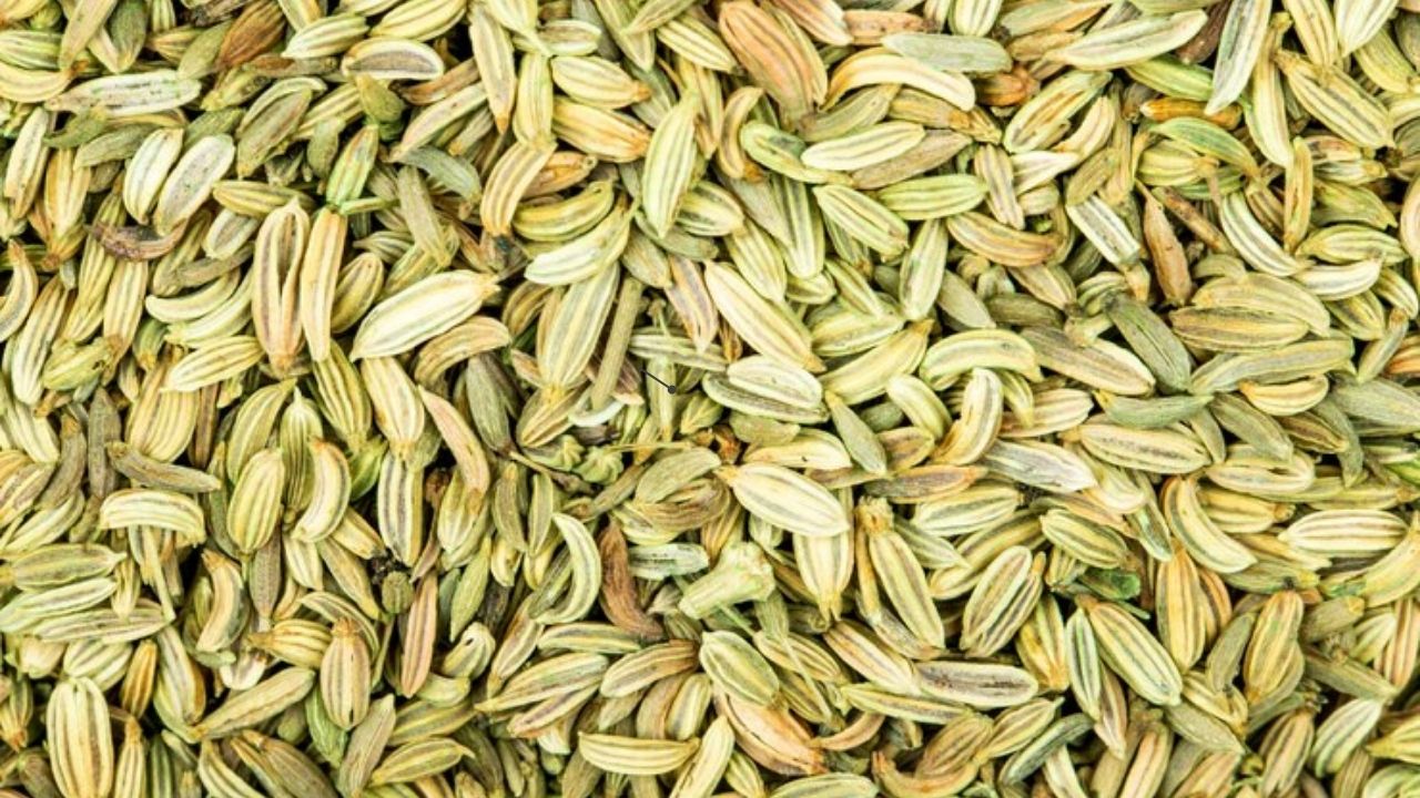 Probing into the Benefits and Values of Organic Fennel Seeds.