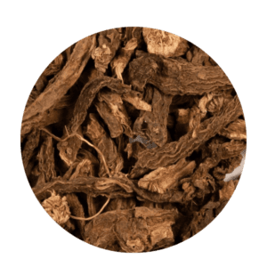 Dry Coleus Roots