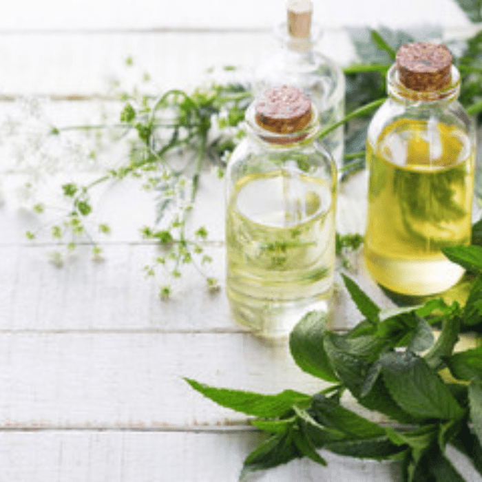 Organic Essential Oil Suppliers in Bareilly india