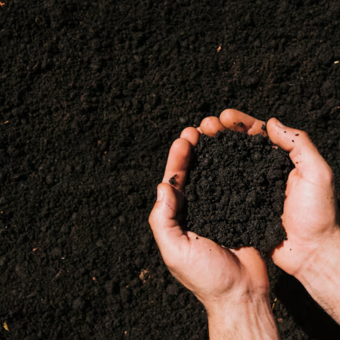 the impotance of soil health