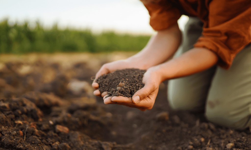 the impotence of soil health