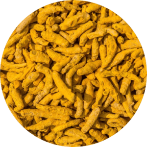 organic turmeric fingers